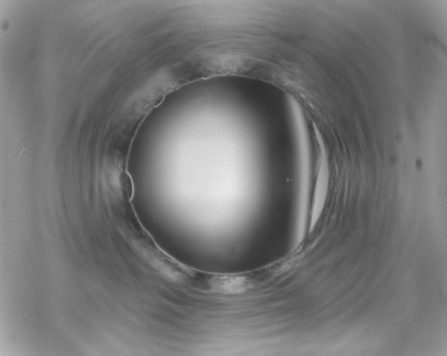 X0000070240334200606051131