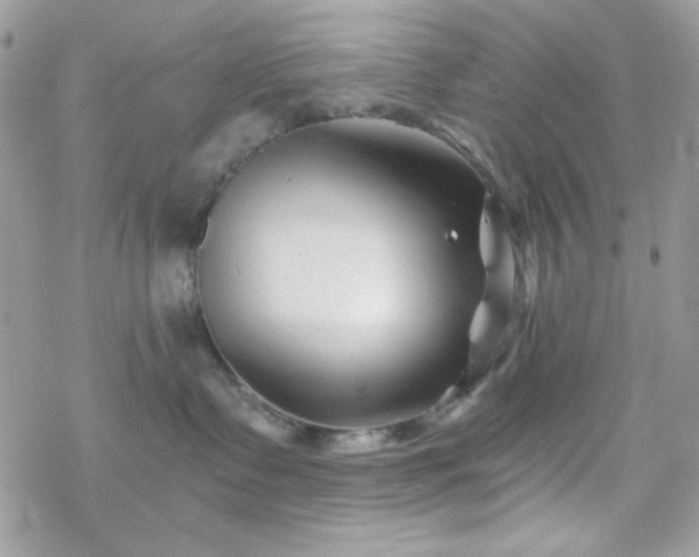 X0000070240335200606051131