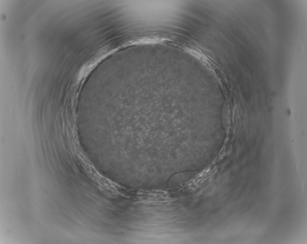 X0000070240337200606051130