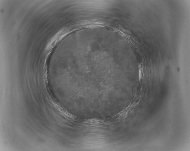 X0000070240339200606051130