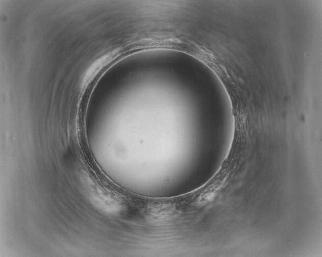 X0000070240340200606051130