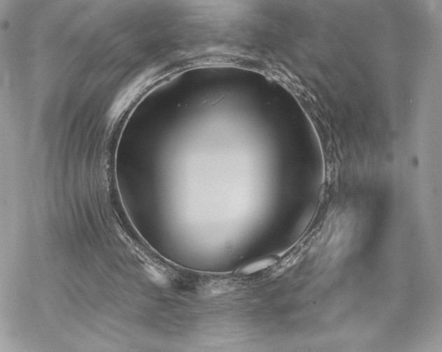 X0000070240341200606051130