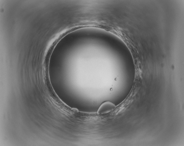 X0000070240342200606051130