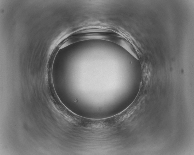 X0000070240344200606051130