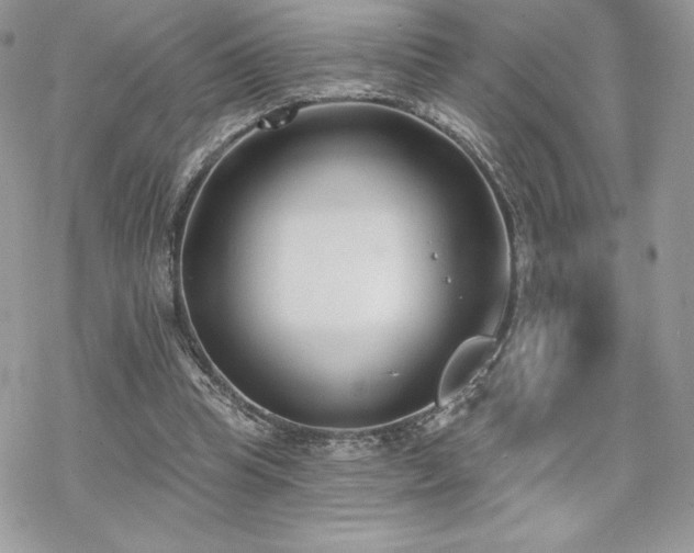 X0000070240345200606051130