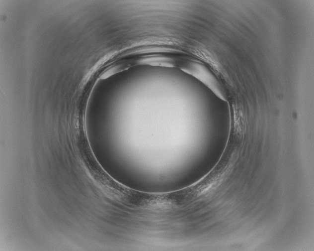 X0000070240348200606051130