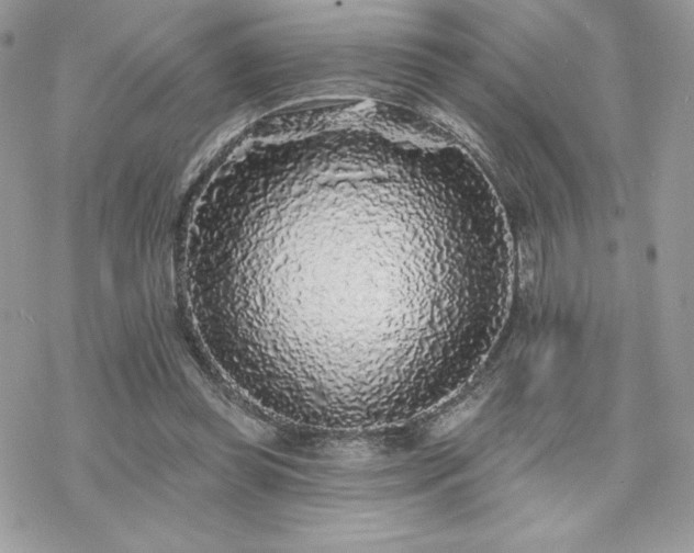 X0000070240349200606051130