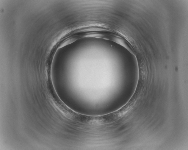 X0000070240350200606051130