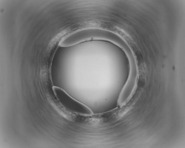 X0000070240352200606051130