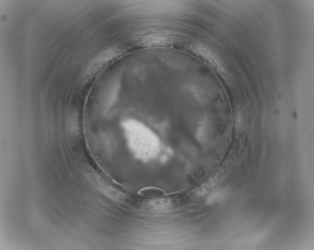 X0000070240353200606051130