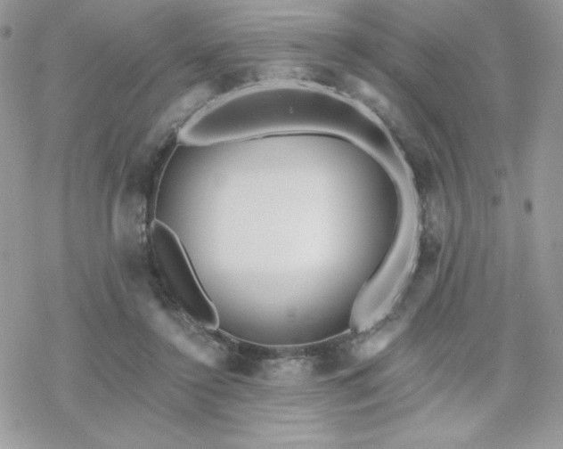 X0000070240356200606051130