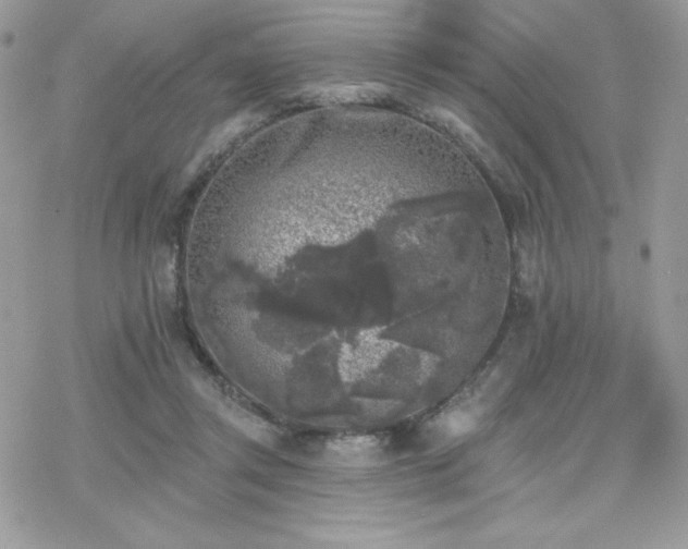 X0000070240357200606051131