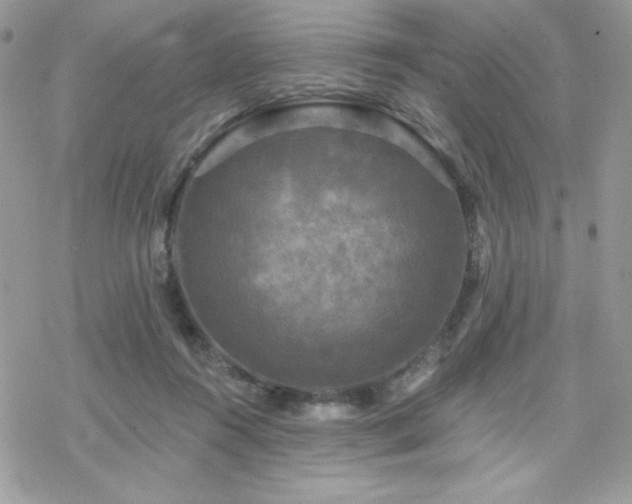 X0000070240360200606051131