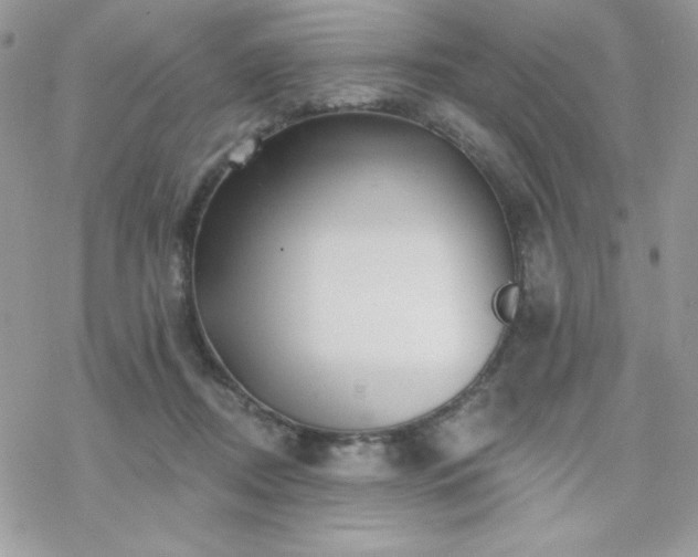 X0000070240362200606051131