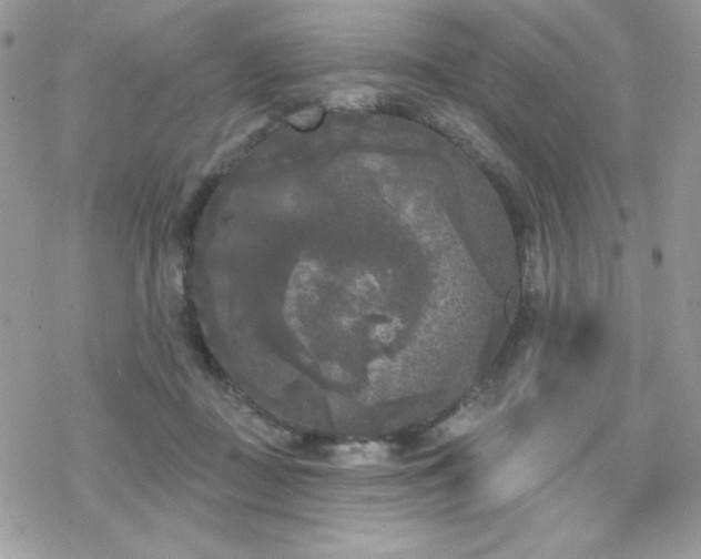 X0000070240363200606051131