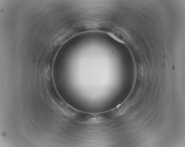 X0000070240364200606051131