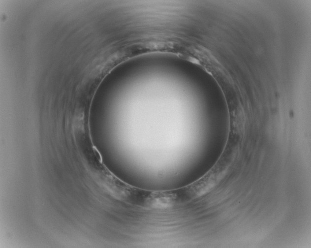 X0000070240368200606051131