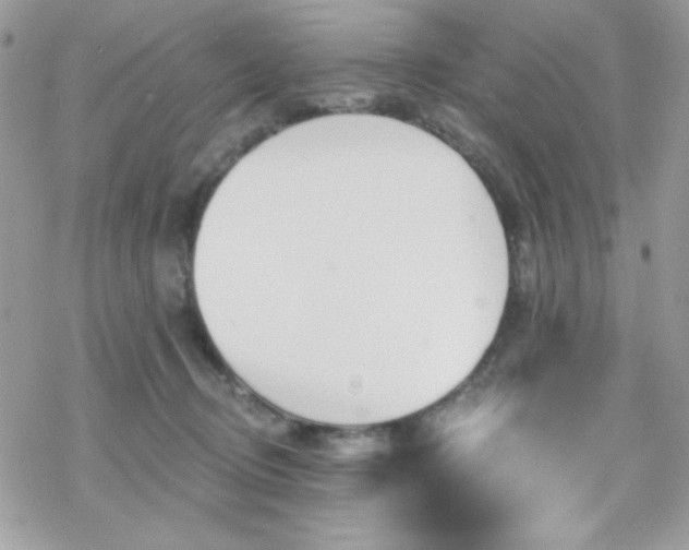 X0000070240370200606051131