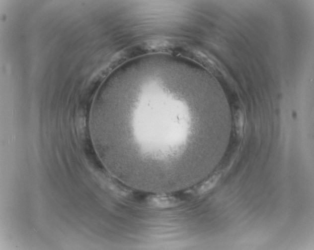 X0000070240372200606051131