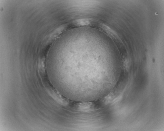 X0000070240373200606051131