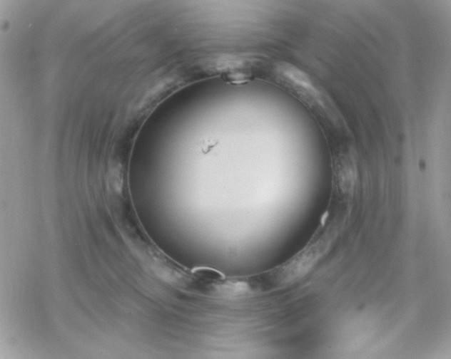 X0000070240374200606051131