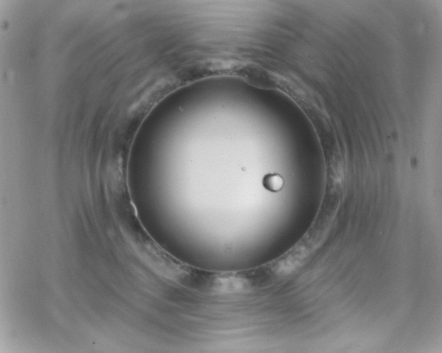 X0000070240376200606051131