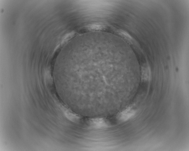 X0000070240377200606051131