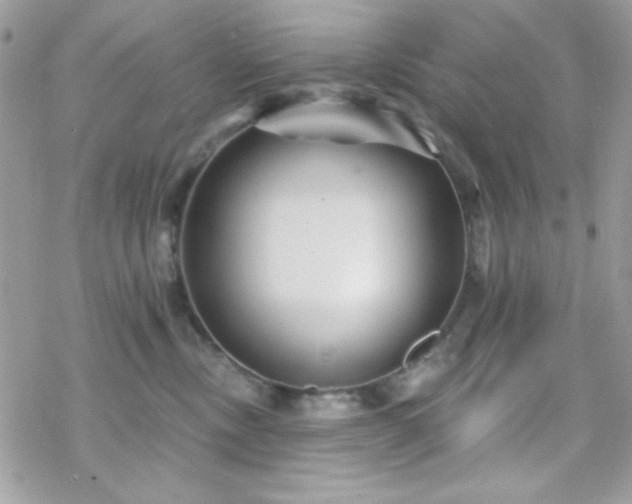 X0000070240378200606051131