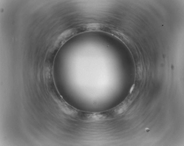 X0000070240379200606051131