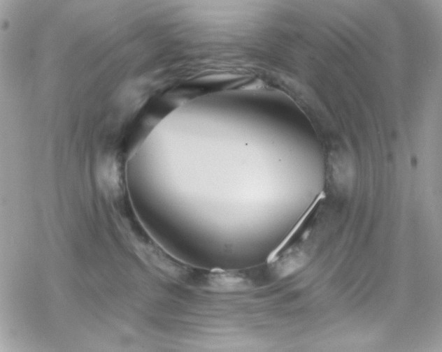 X0000070240380200606051131