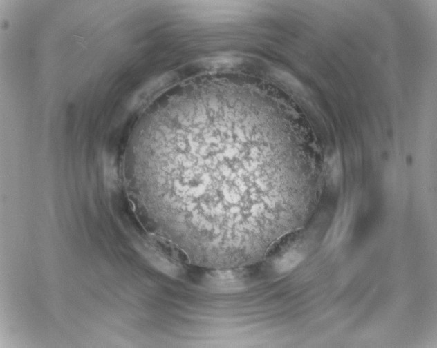 X0000070240381200606051131