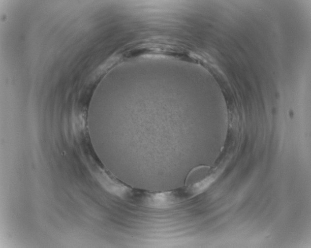 X0000070240382200606051131