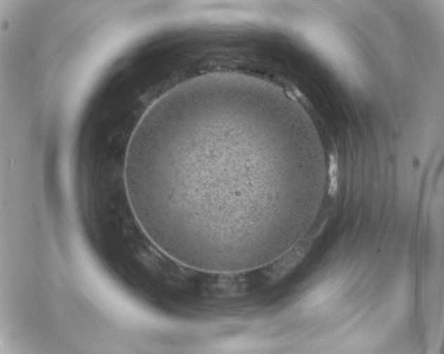 X0000070240383200606051131