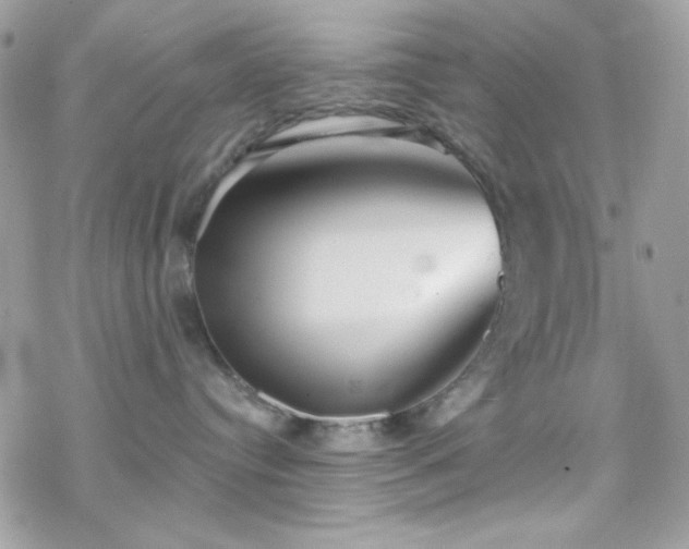 X0000070240384200606051131