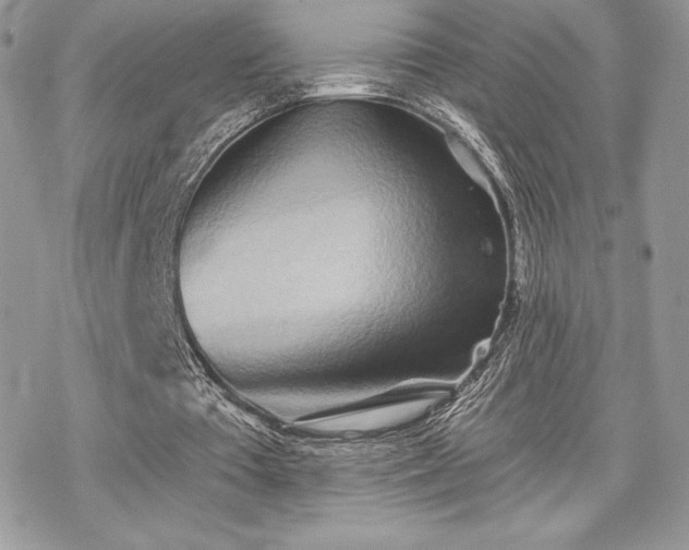 X0000070240385200606051130