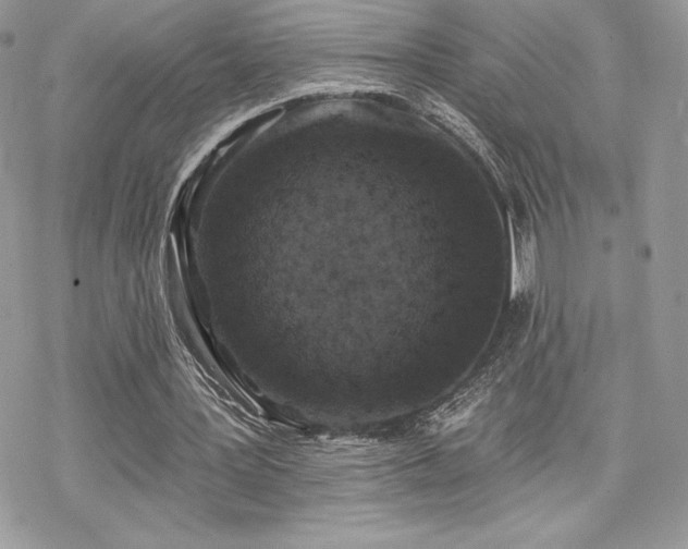 X0000070240387200606051130