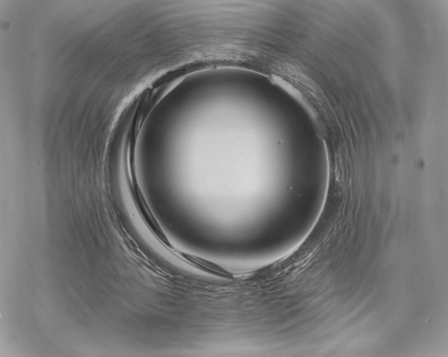 X0000070240388200606051130