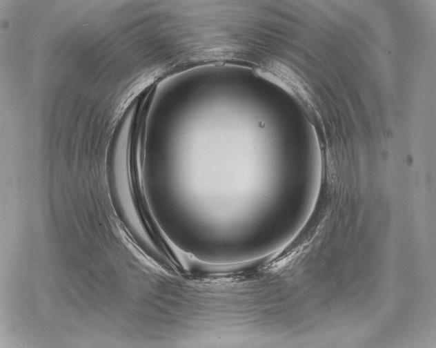 X0000070240389200606051130