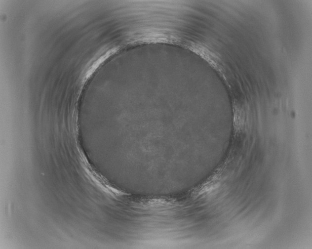 X0000070240390200606051130