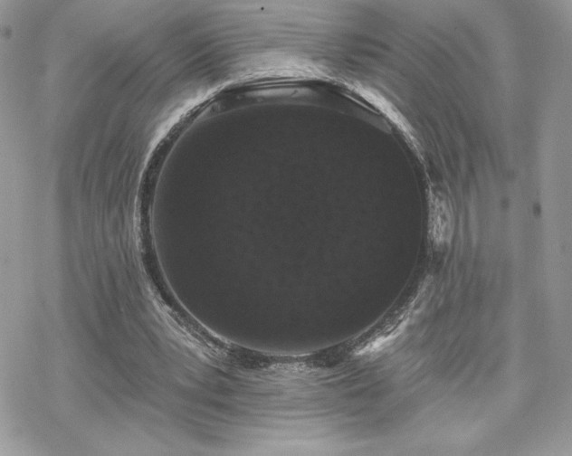 X0000070240391200606051130