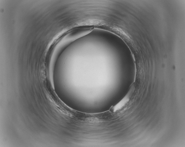 X0000070240392200606051130