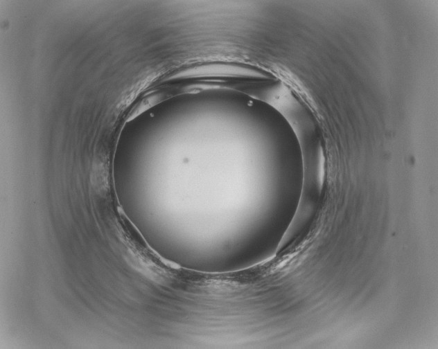 X0000070240393200606051130