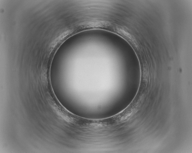 X0000070240394200606051130