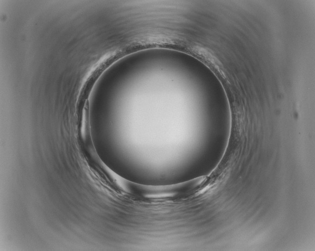 X0000070240395200606051130