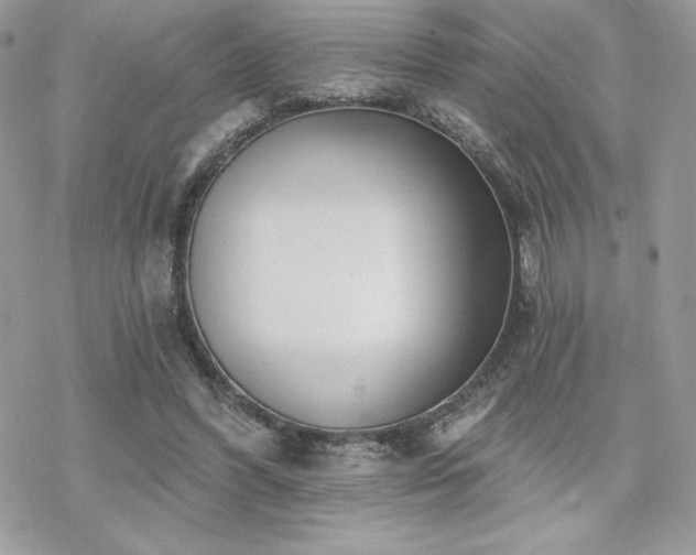 X0000070240396200606051130