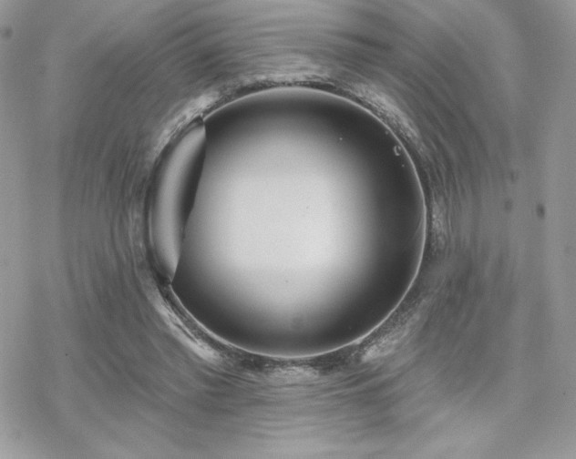 X0000070240397200606051130