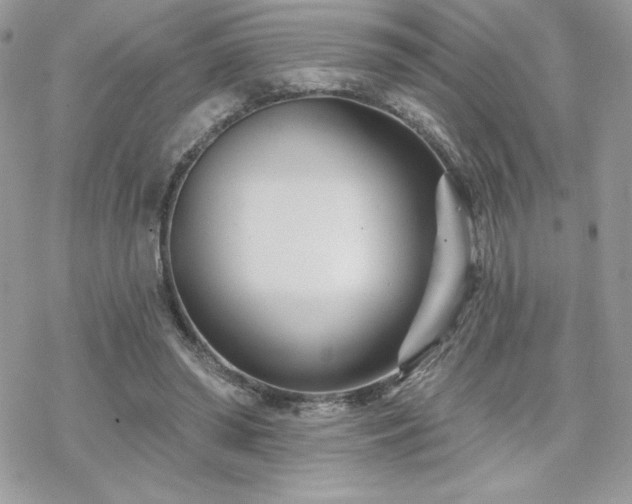 X0000070240398200606051130