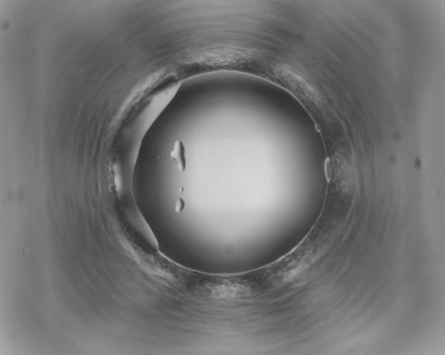 X0000070240400200606051130