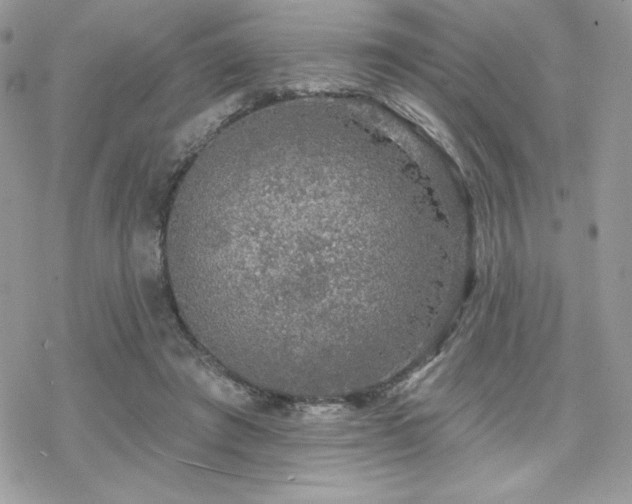 X0000070240401200606051130