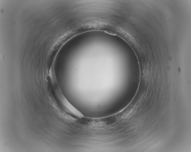 X0000070240403200606051130